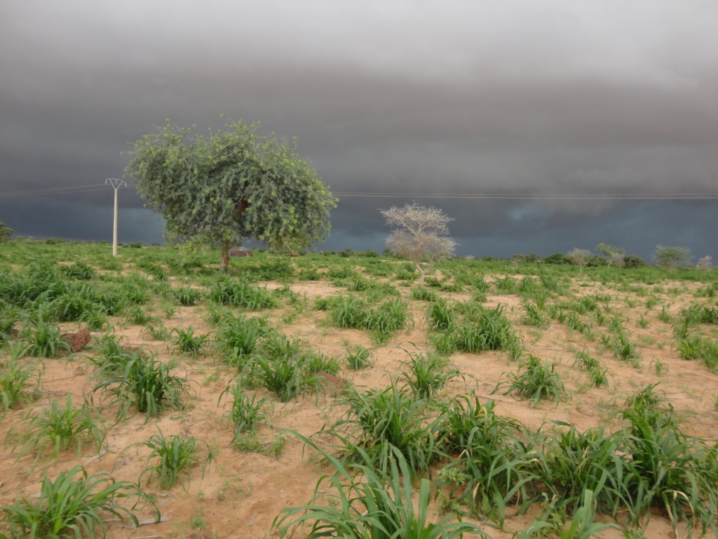 climat info