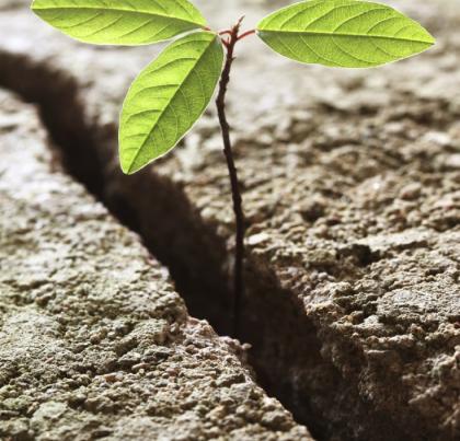 Monitoring the dynamics of land use
